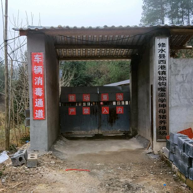养猪人，，坤哥，