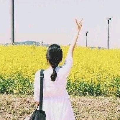 蔷薇与太阳