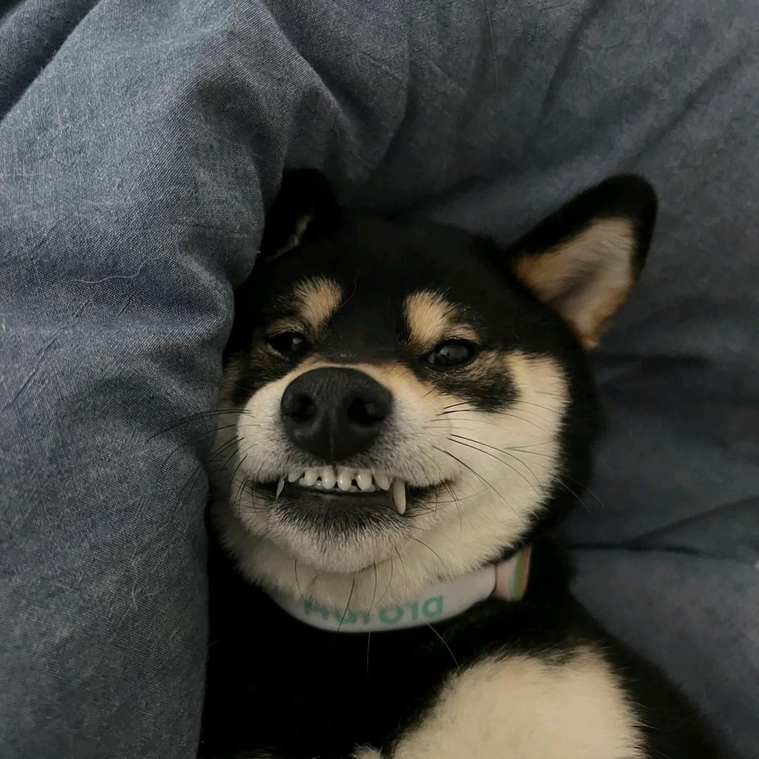 彩灯