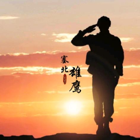 塞北雄鹰