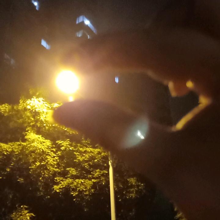 雾里看花