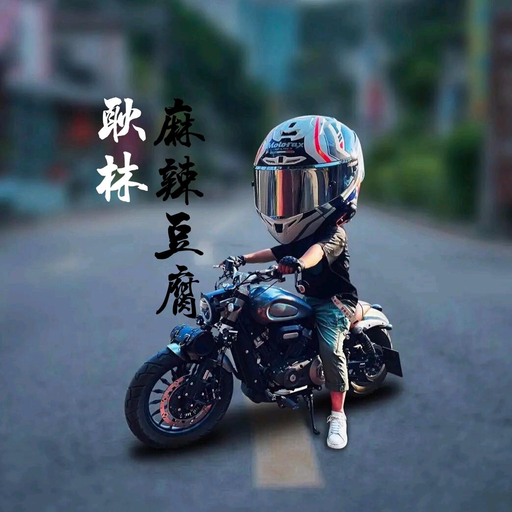 a麻辣豆腐