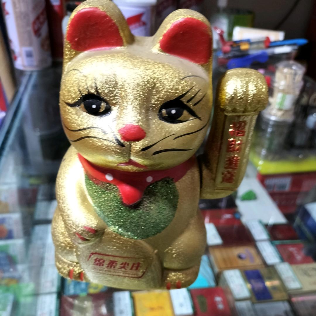 @招财猫$$