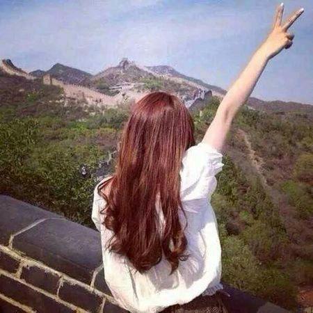 奔跑的向日葵🌻