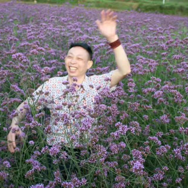 情深缘情〈〈飞虎队〉〉