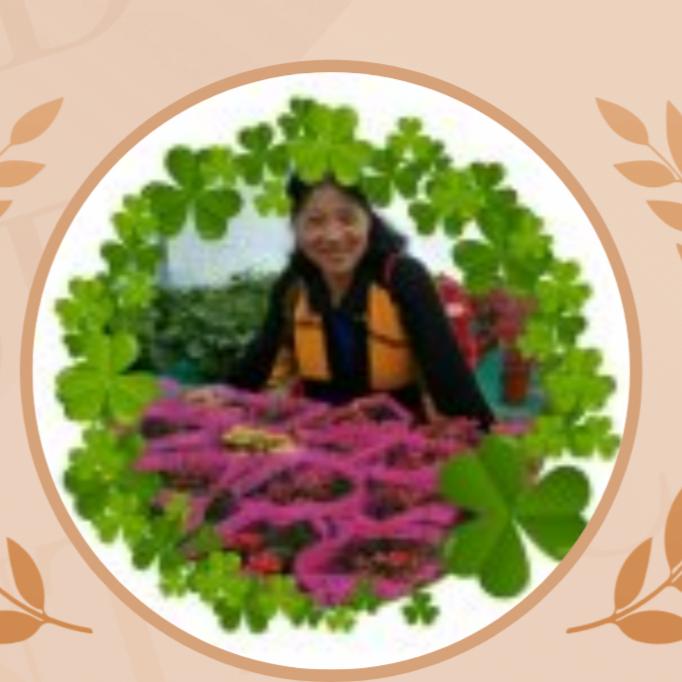 开心太婆（ 三亚美景）每天上午九点二十开