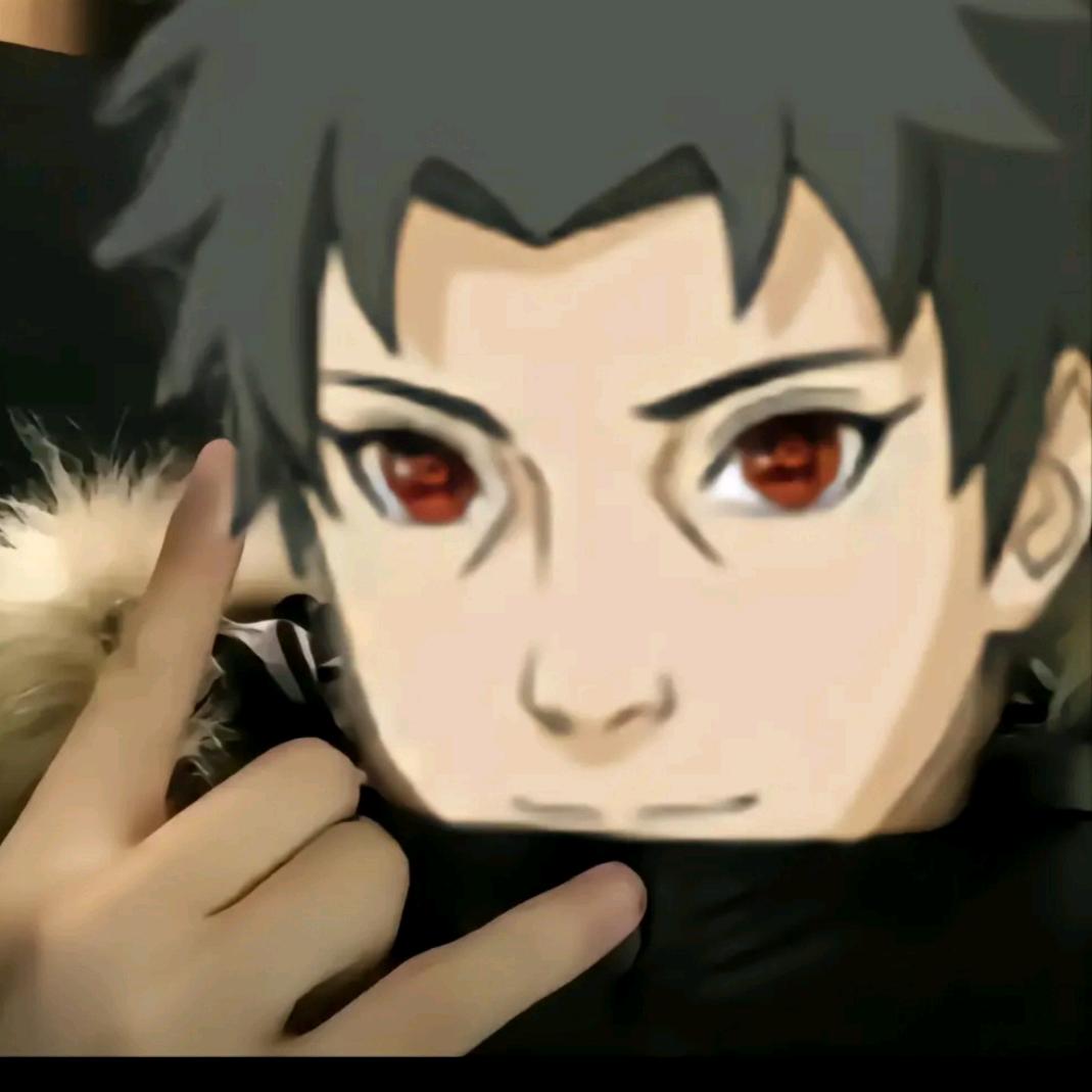 小马珍珍珍珍珍珠