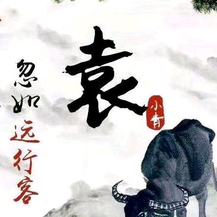 （袁姐，时光不负归巢路）