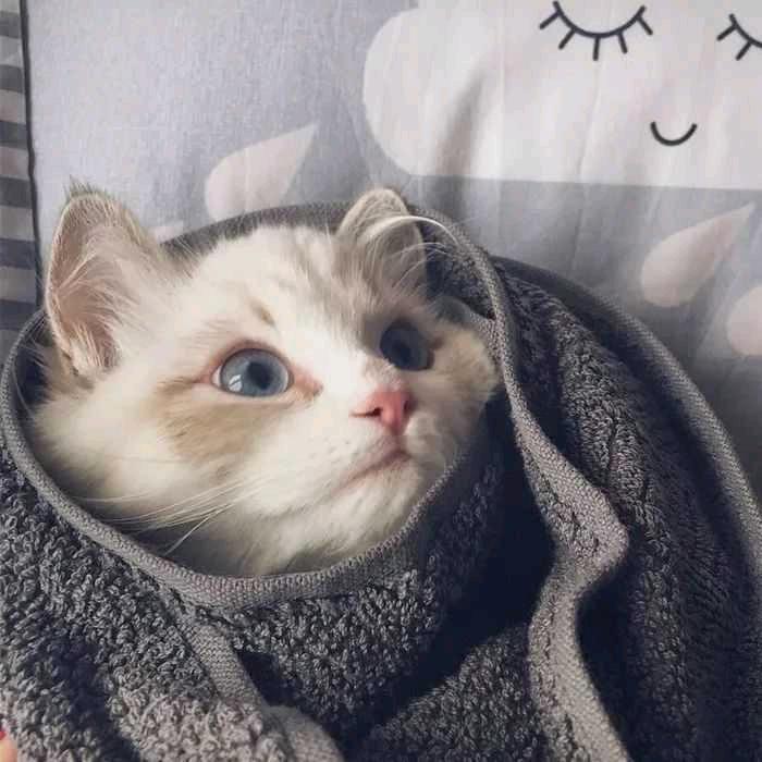 天翊🌈