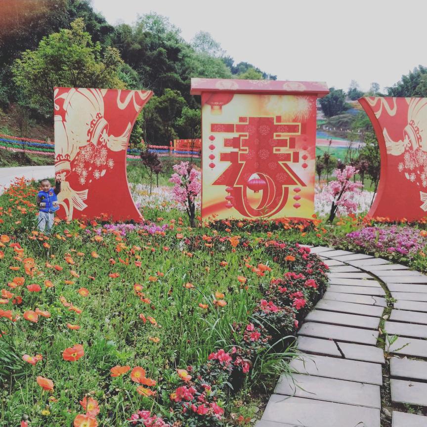 初一的明天@_@