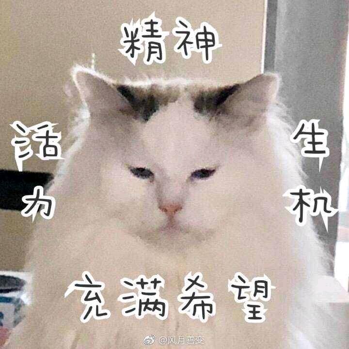 🌈箫韶💭