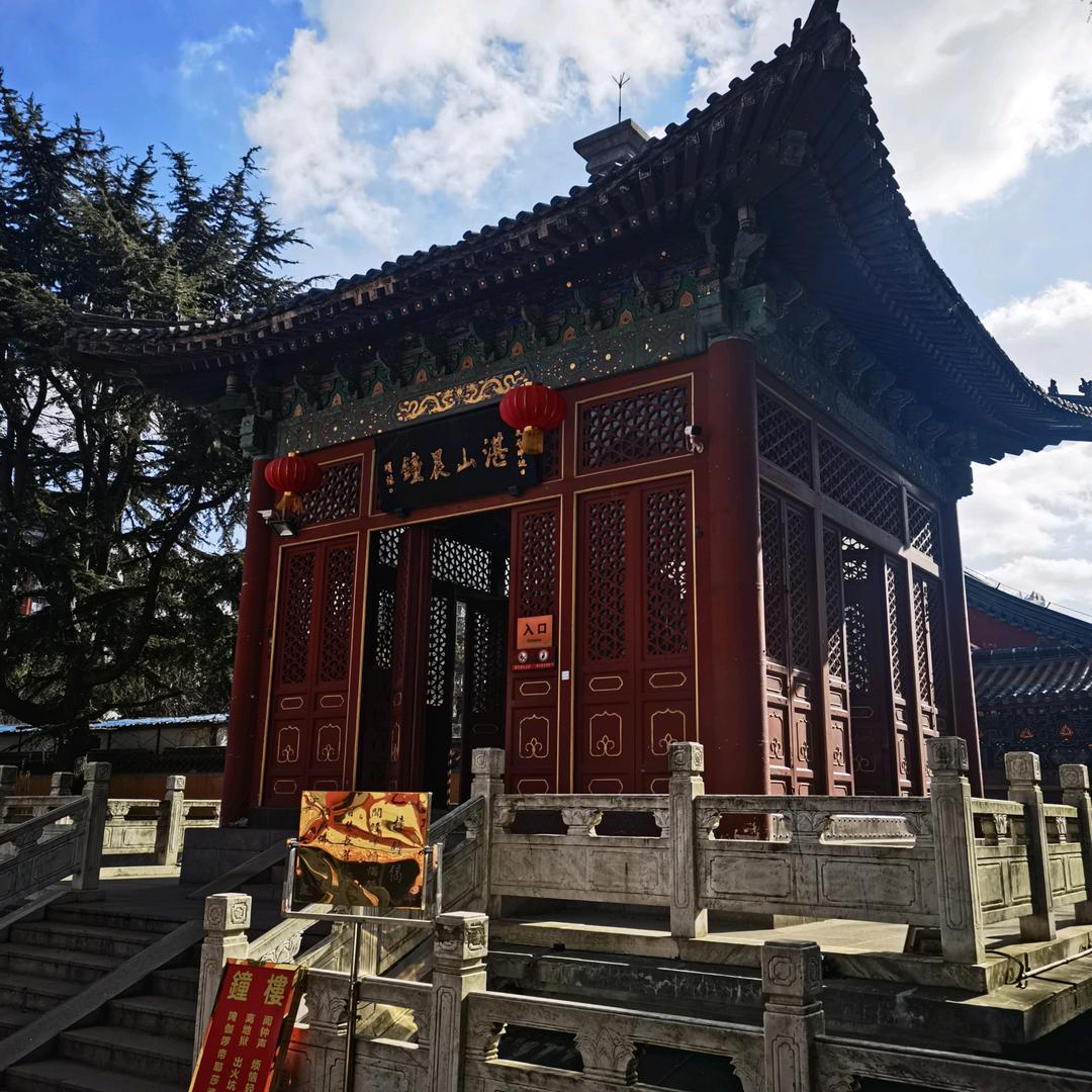 德聚仁合#冻干机厂家