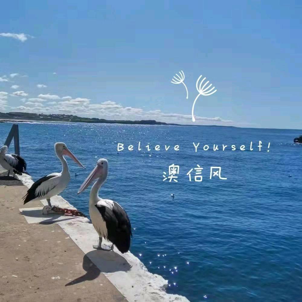 澳信风