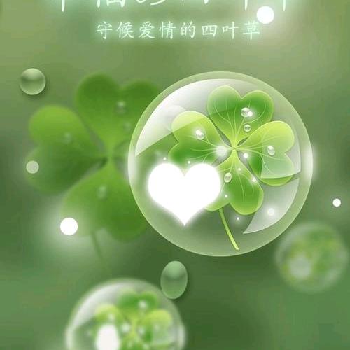 邹城欧派零售大家居小曹