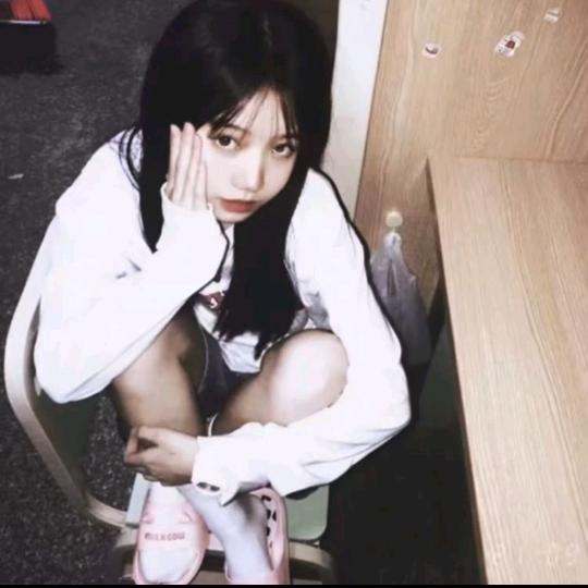 两只羊🎧