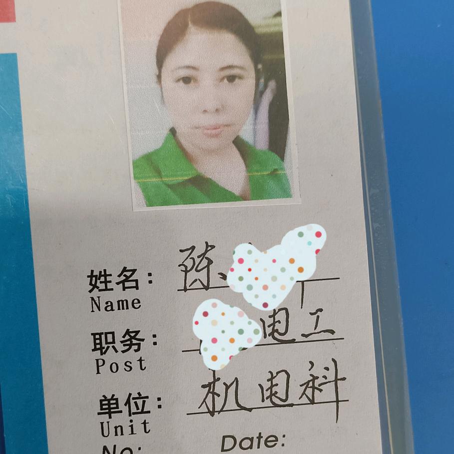 女电工