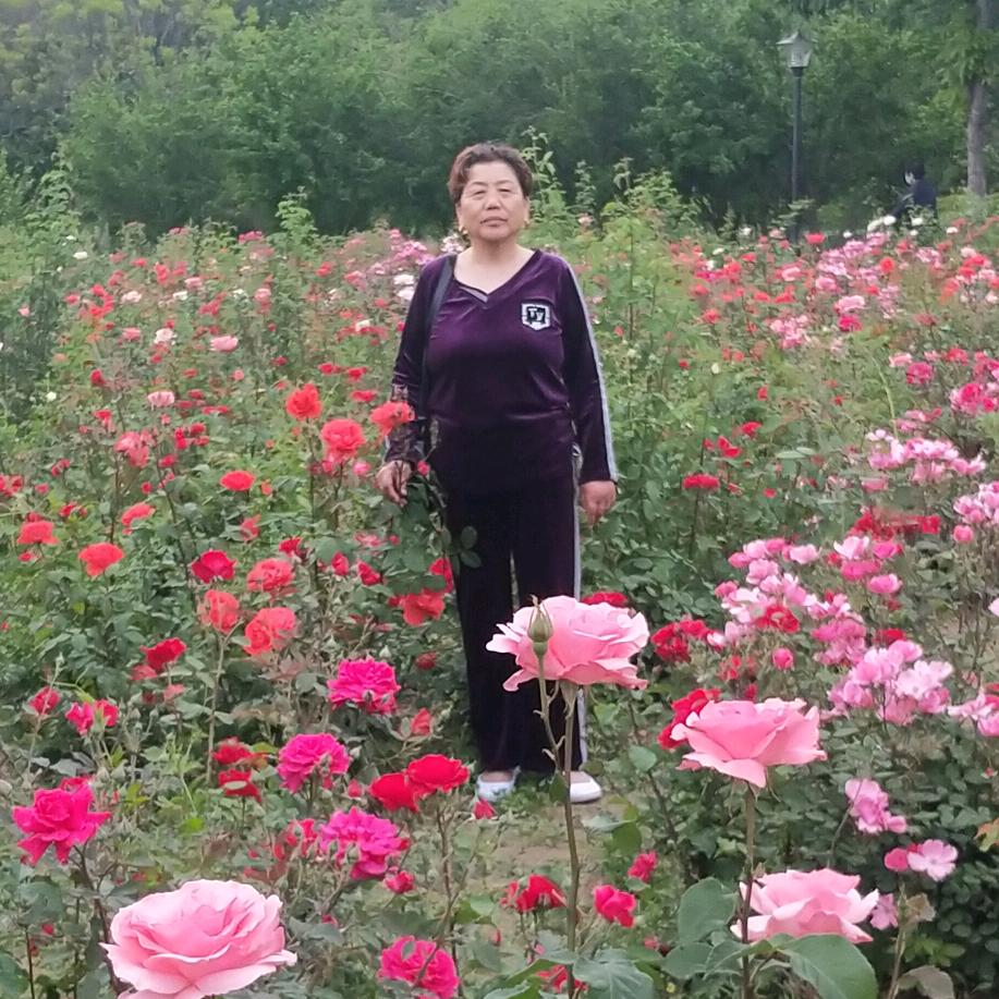 赵新合