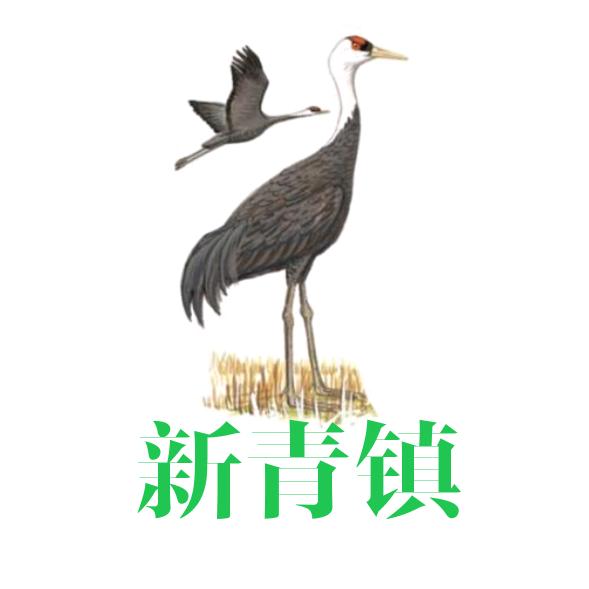 丰林县新青镇人民政府