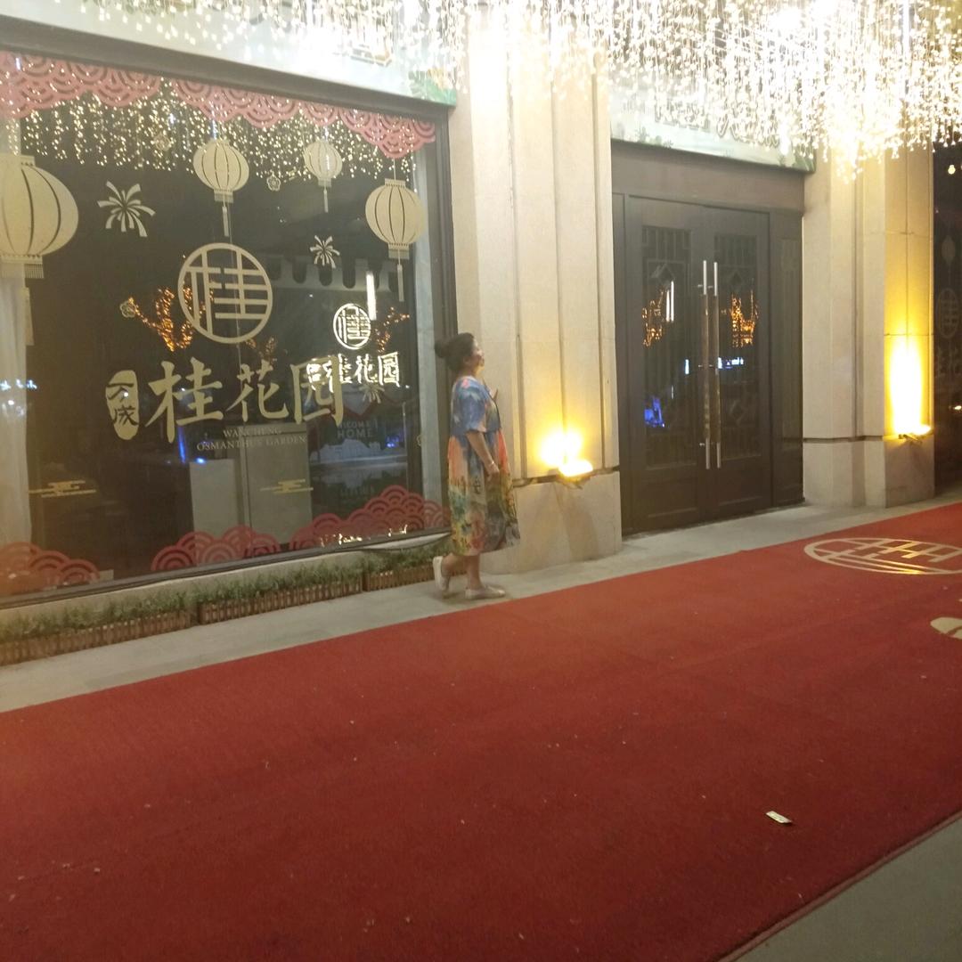 凡若晨曦