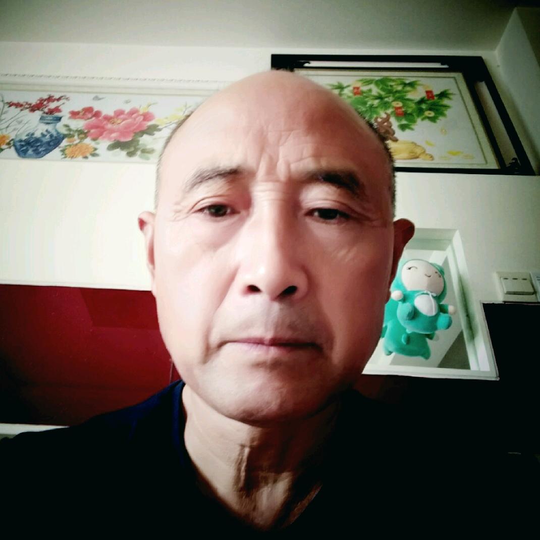 石鸭子