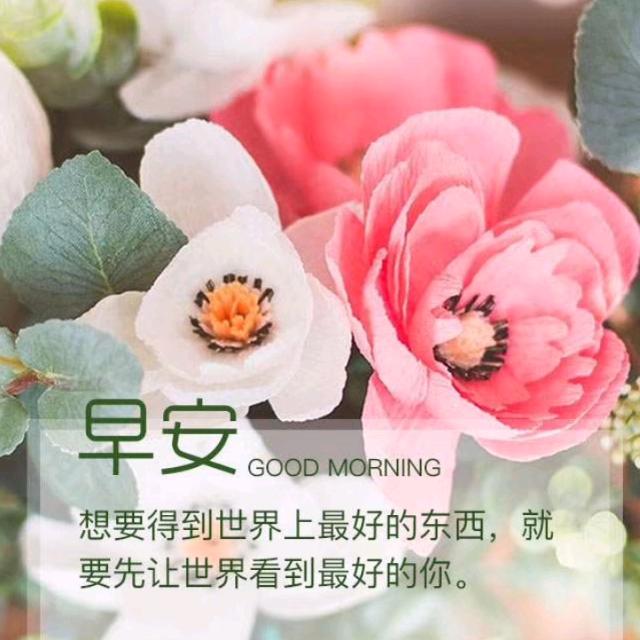 我们遇见