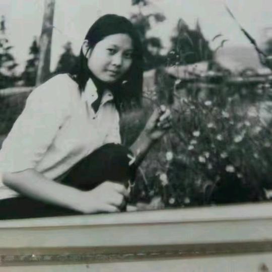 苏玲