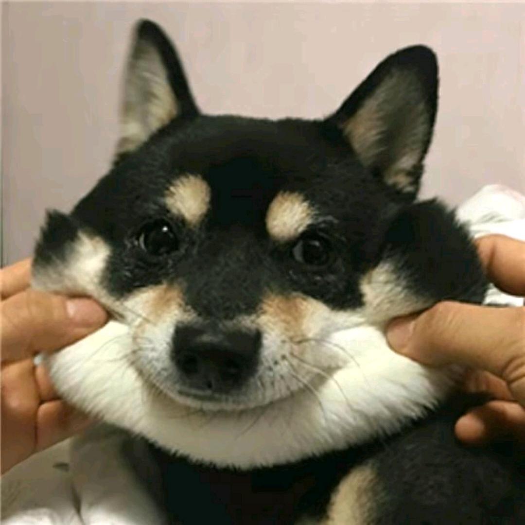 hhhhh
