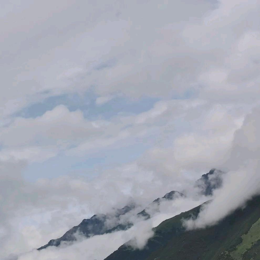 上善若水