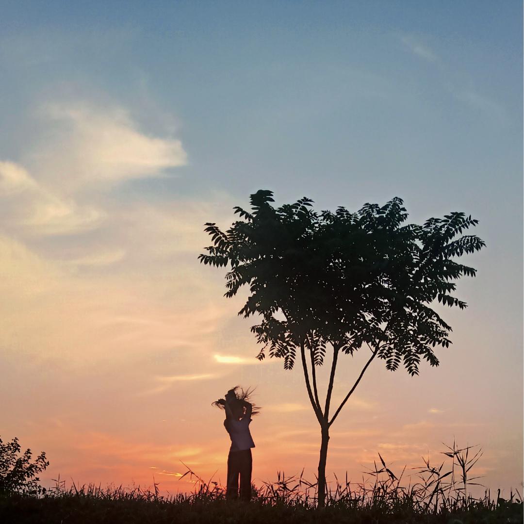 朝花夕拾