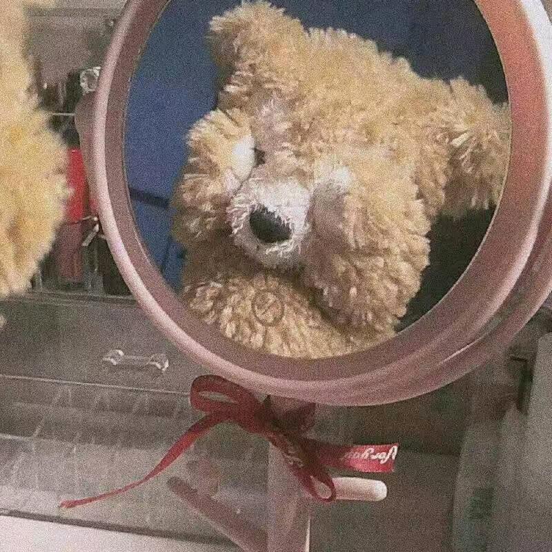 金灿✨