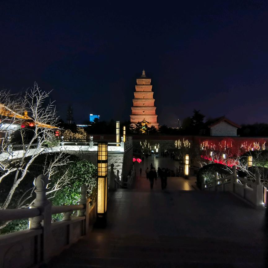鲨鱼爱跑步