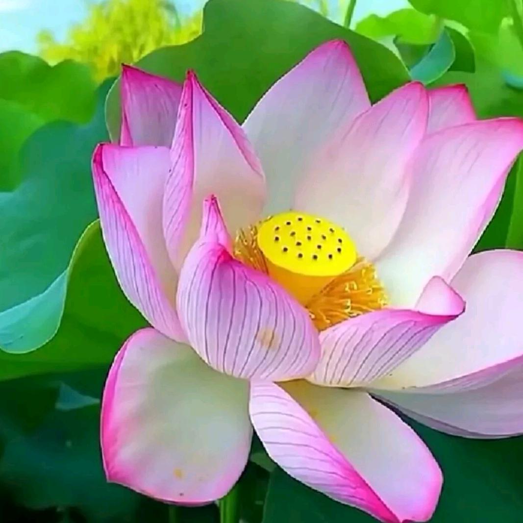 幸福一生（专业粘瓷砖）