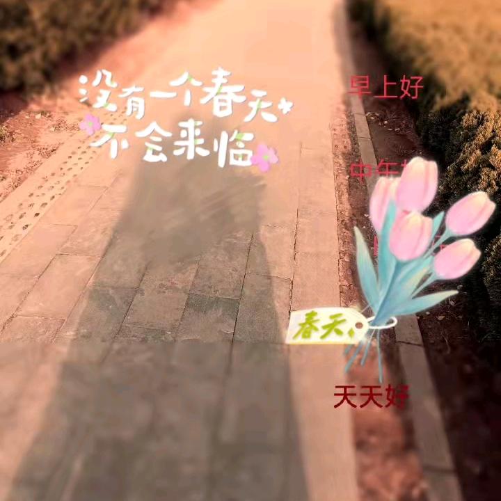 梦及深海