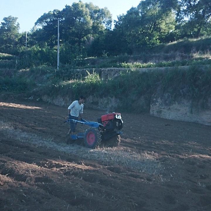 天地同道