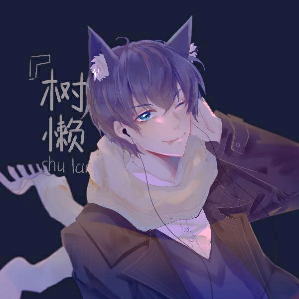 树懒音频（声卡调试）