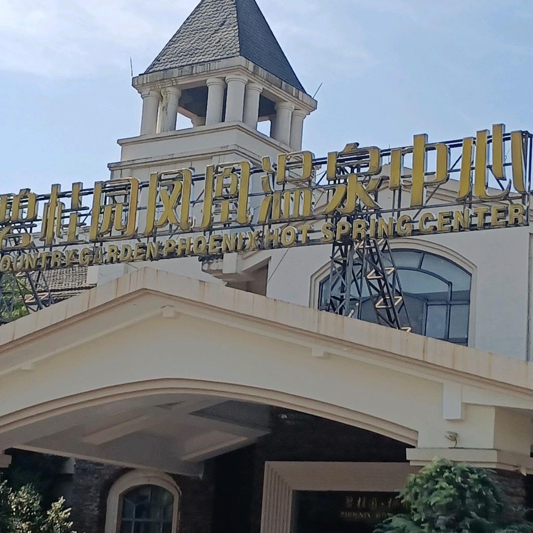 手机用户春天里