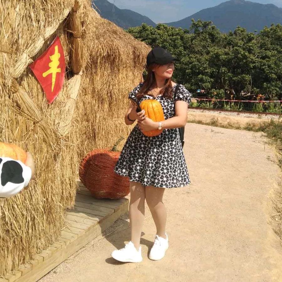 顽固的刺猬