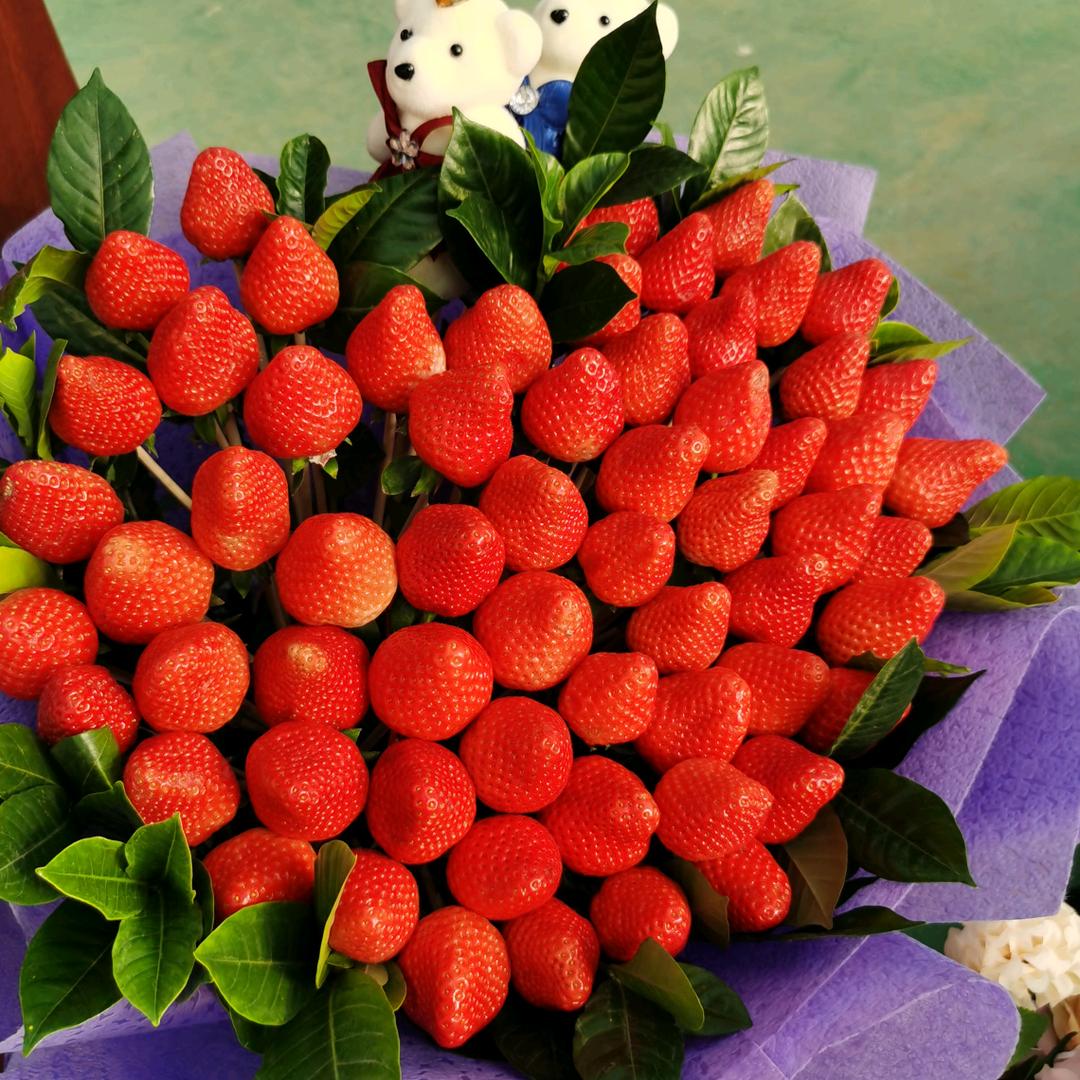 草莓种植用资材