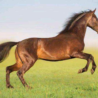 ᵎ(•̀㉨•́)و ̑̑ 加油