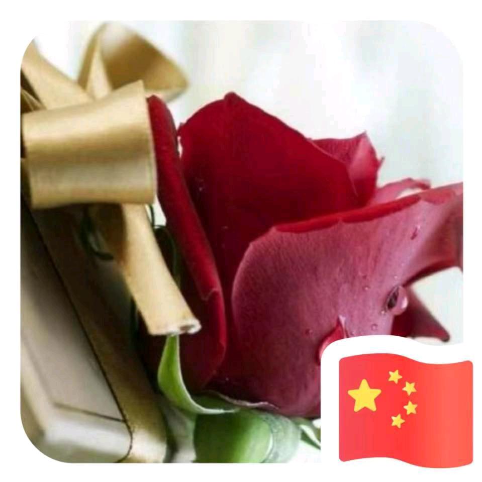 不必理会