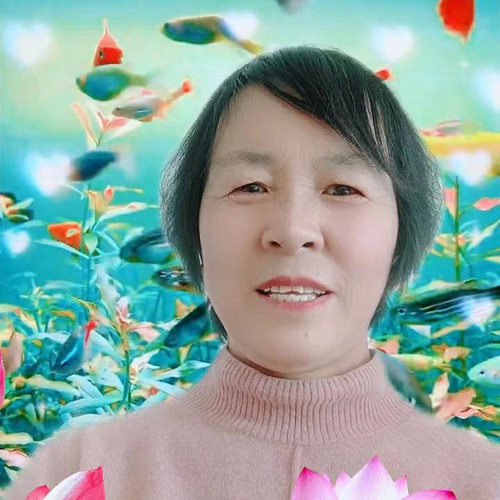 万事如意@@@