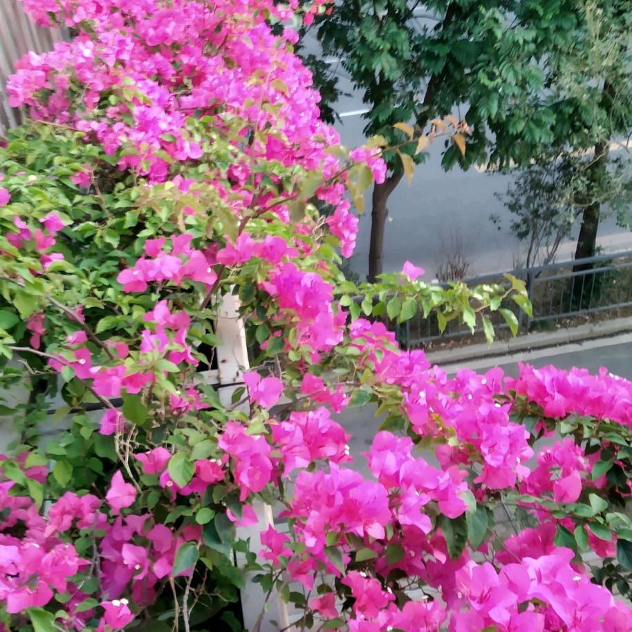 明天会更好