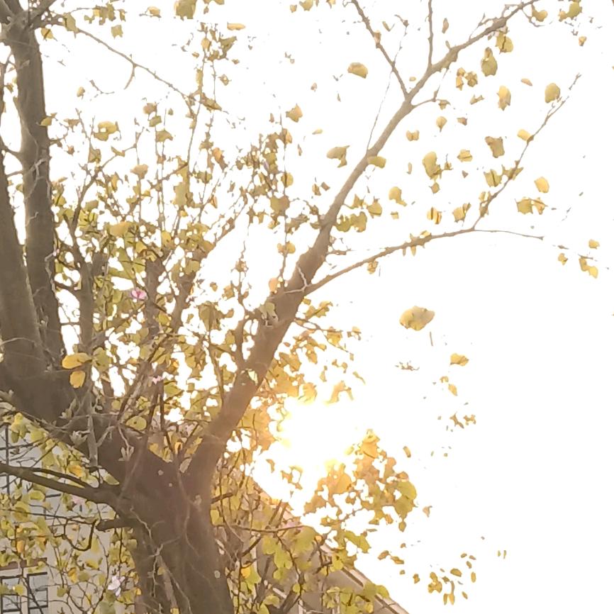 西檐