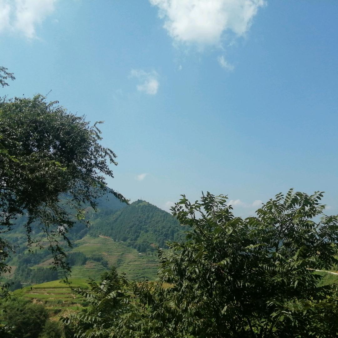 巴马东兰长寿之乡特产＋乡村旅游