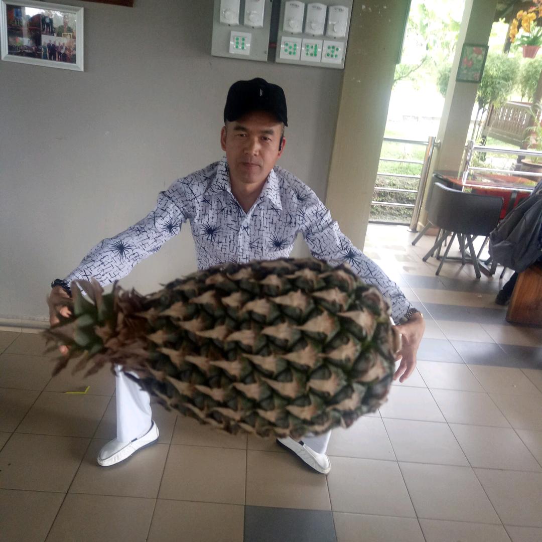 力争上游