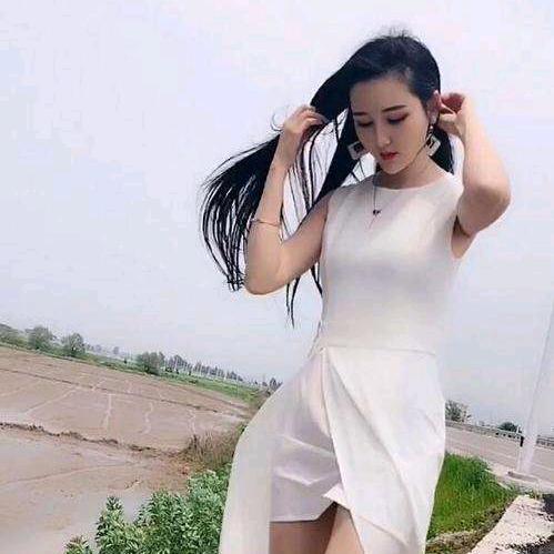 春啦花开