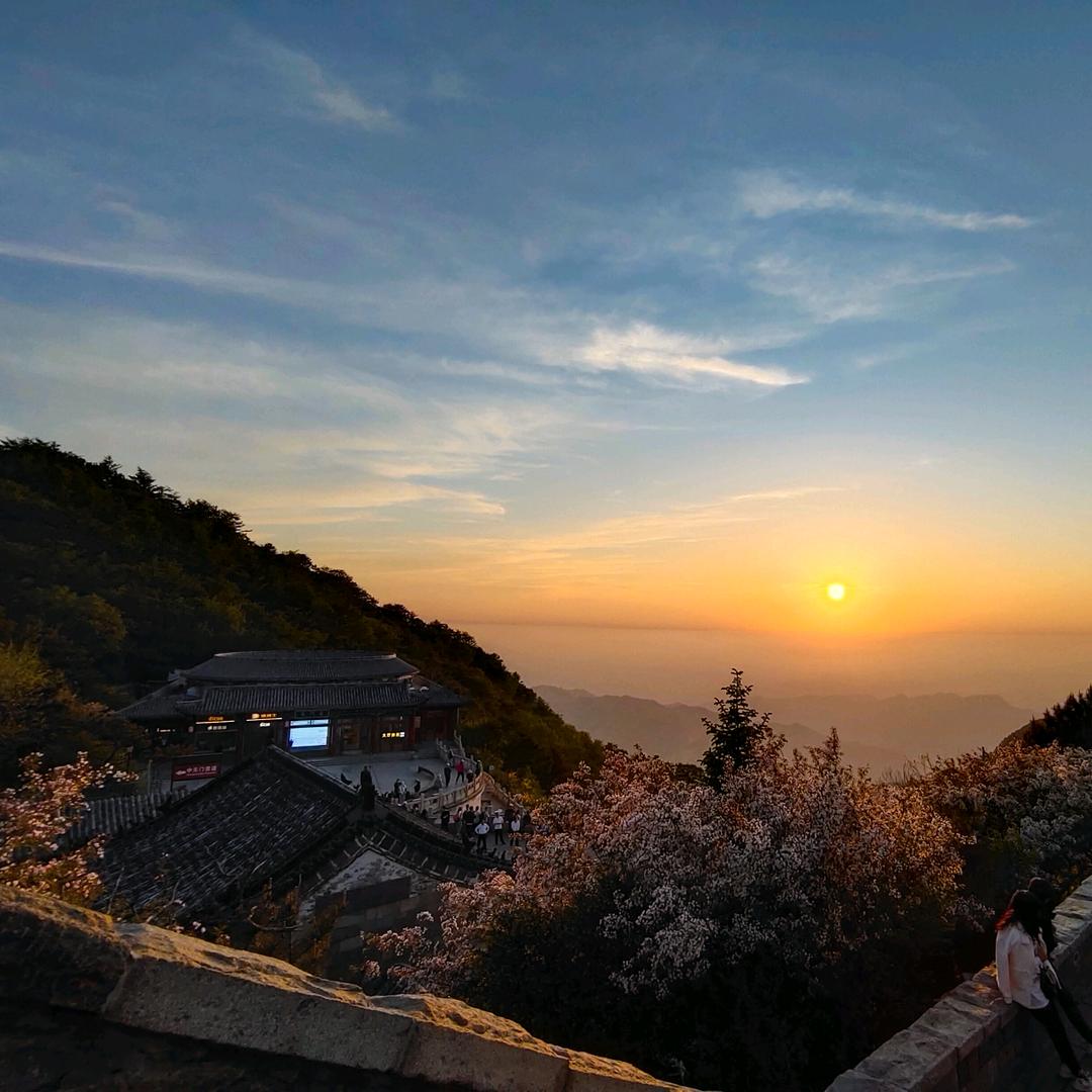 临沂三区九县信用批 款