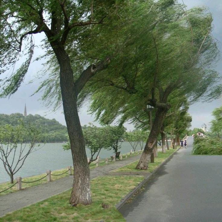 酱油选手