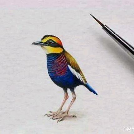 a过儿