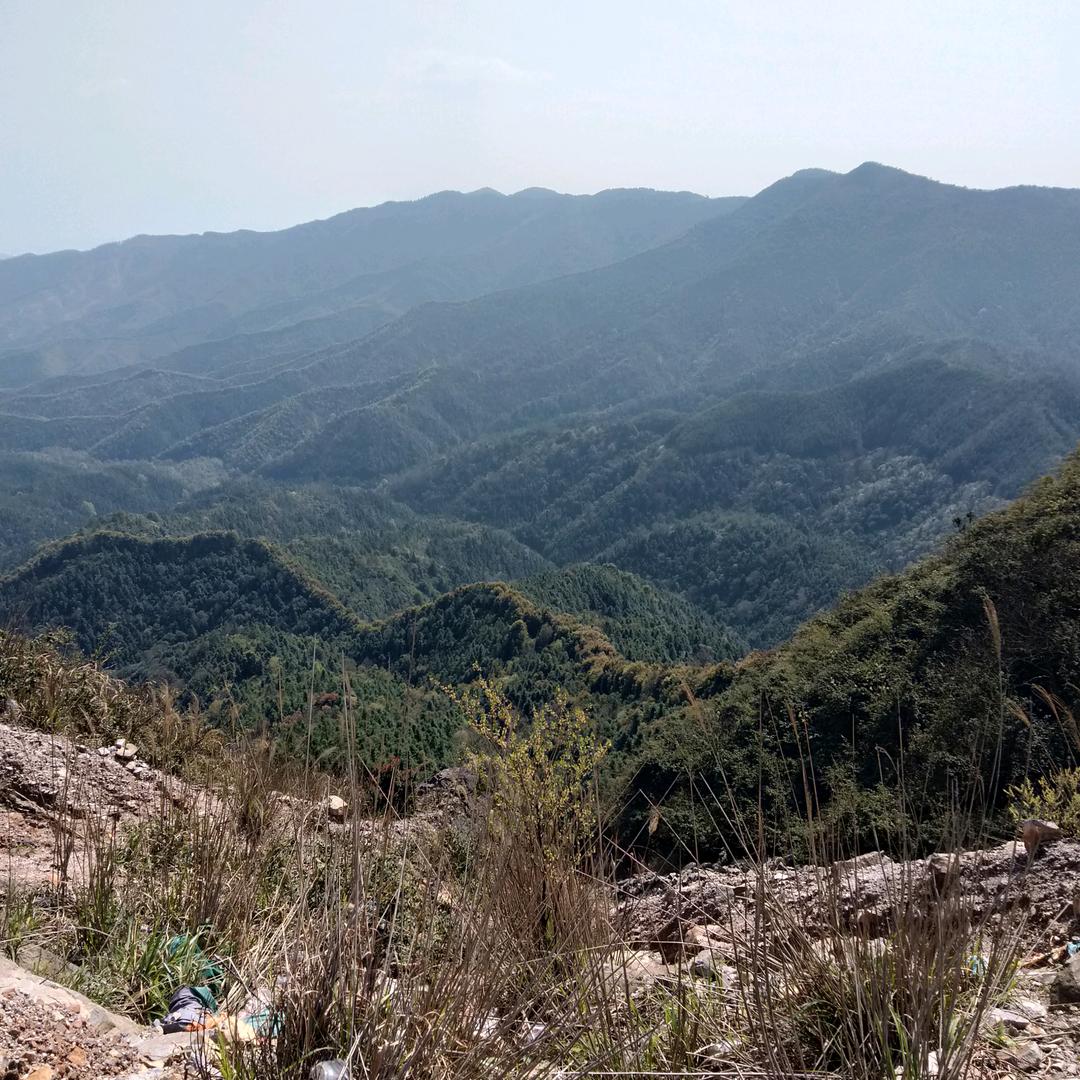 流浪兔